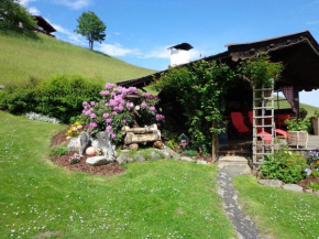 Landhaus Aigner, Mittersill, Österreich